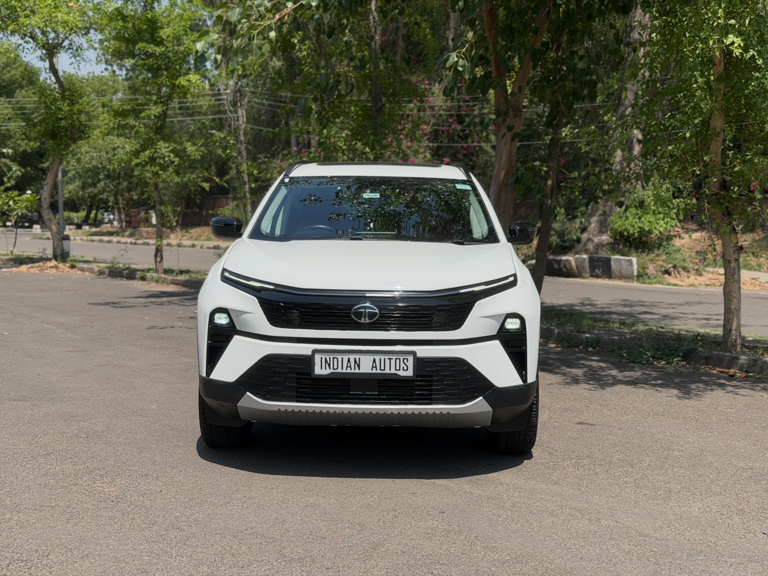 Tata Harrier Pure Plus Diesel Automatic